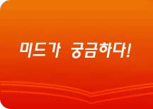 미드가 궁금하다!